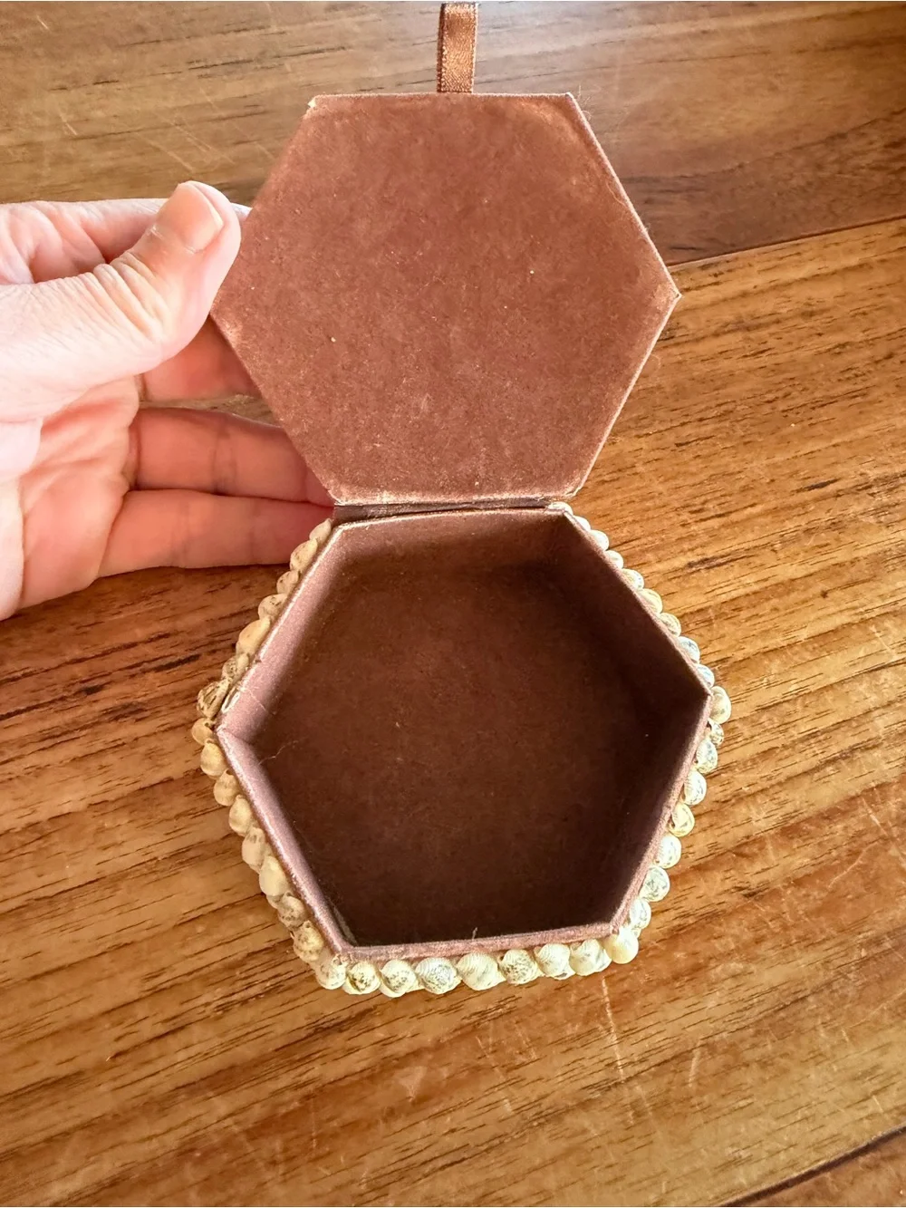 Vintage Source Unknown Seashell Accent Box in Cream and Tan Trinket Box